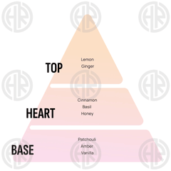 Areon Ken Vanilla Black Perfume Long Lasting Car & Room Air Freshener