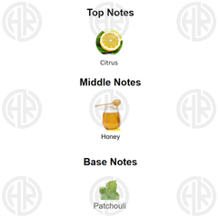 Areon Anti Odor Car Perfume 8ML Fresh Air Freshener for Car AC Vents