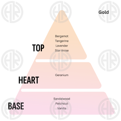 Areon Gel Desire Perfume Long Lasting Car & Room Air Freshener