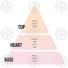 Areon Gel Wish Car & Room Perfume Long Lasting Freshness