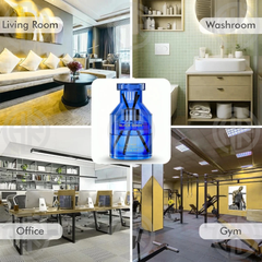 Black Odor Shangri La Reed Diffuser Premium 5 Star Hotel Aroma (60ml)