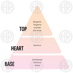 Areon Gel Sport Lux Gold Gel Perfume Long Lasting Car Air Freshener