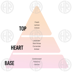 Areon Sport Lux Gel Car Air Freshener (3 Pack)