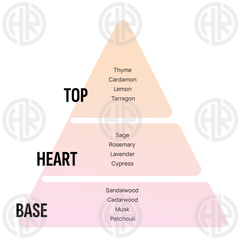 Areon Liquid New Car Hanging Card (5ml) Long Lasting Sweet Perfume